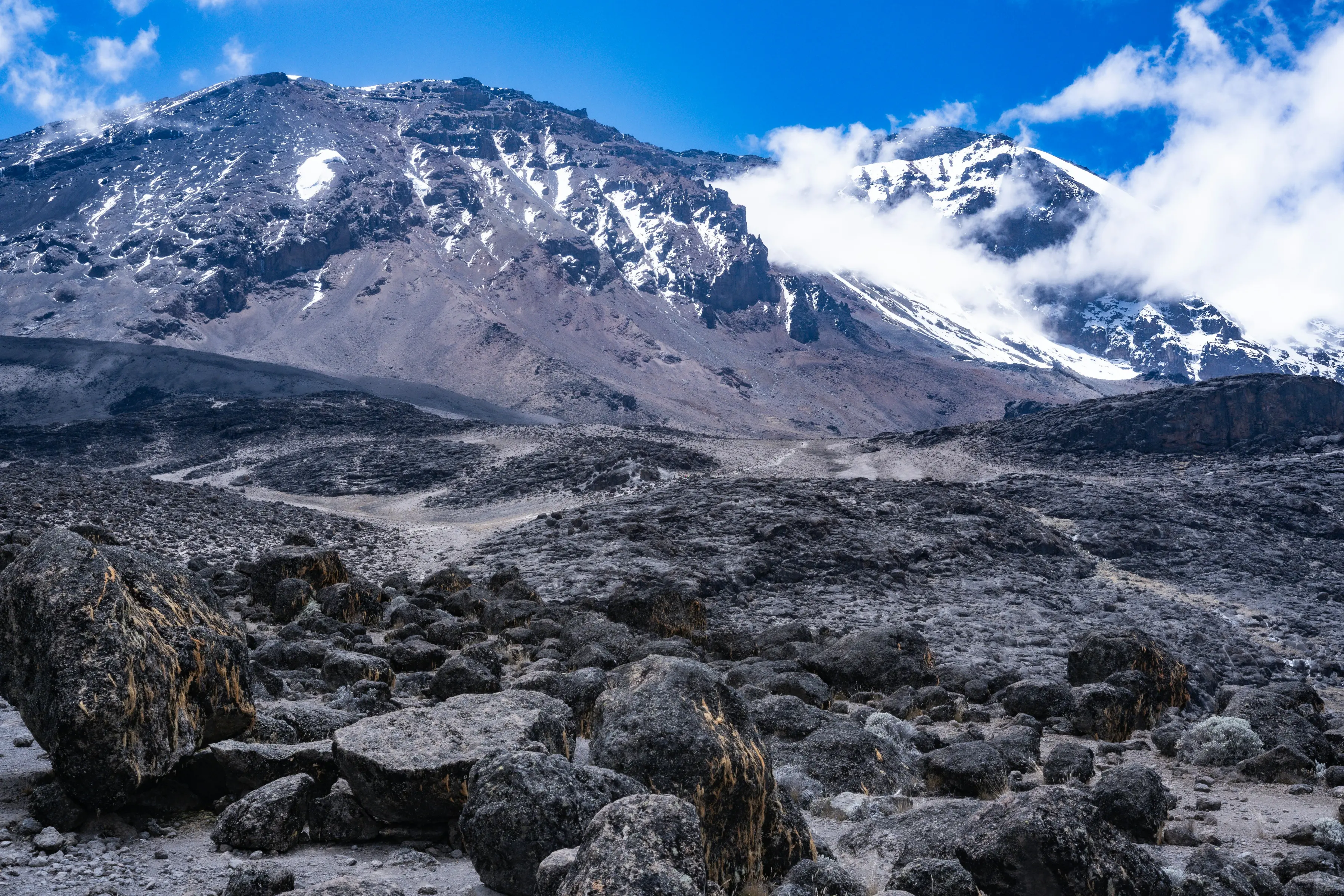11 Days / 10 Nights Kilimanjaro Via Northern Circuit