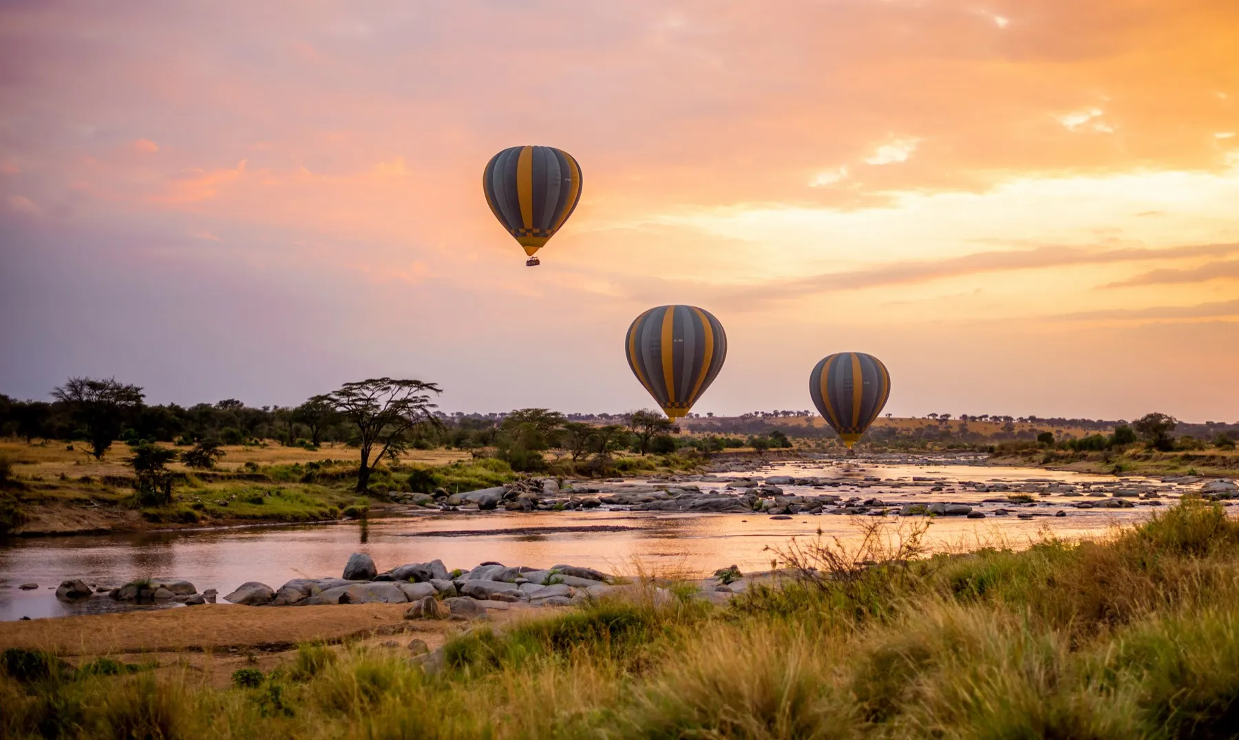 Hot-air balloons floating above the Serengeti