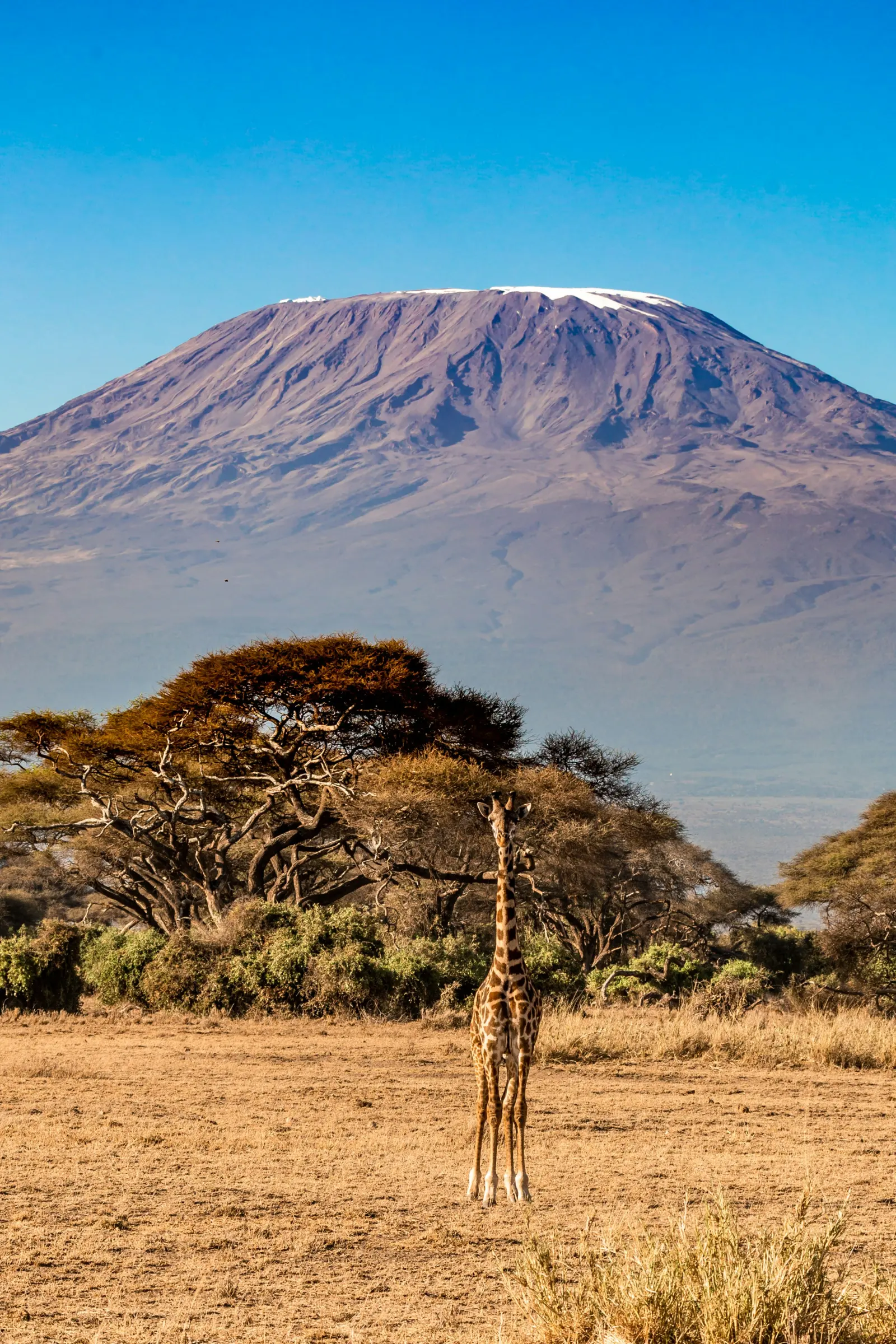 Arusha