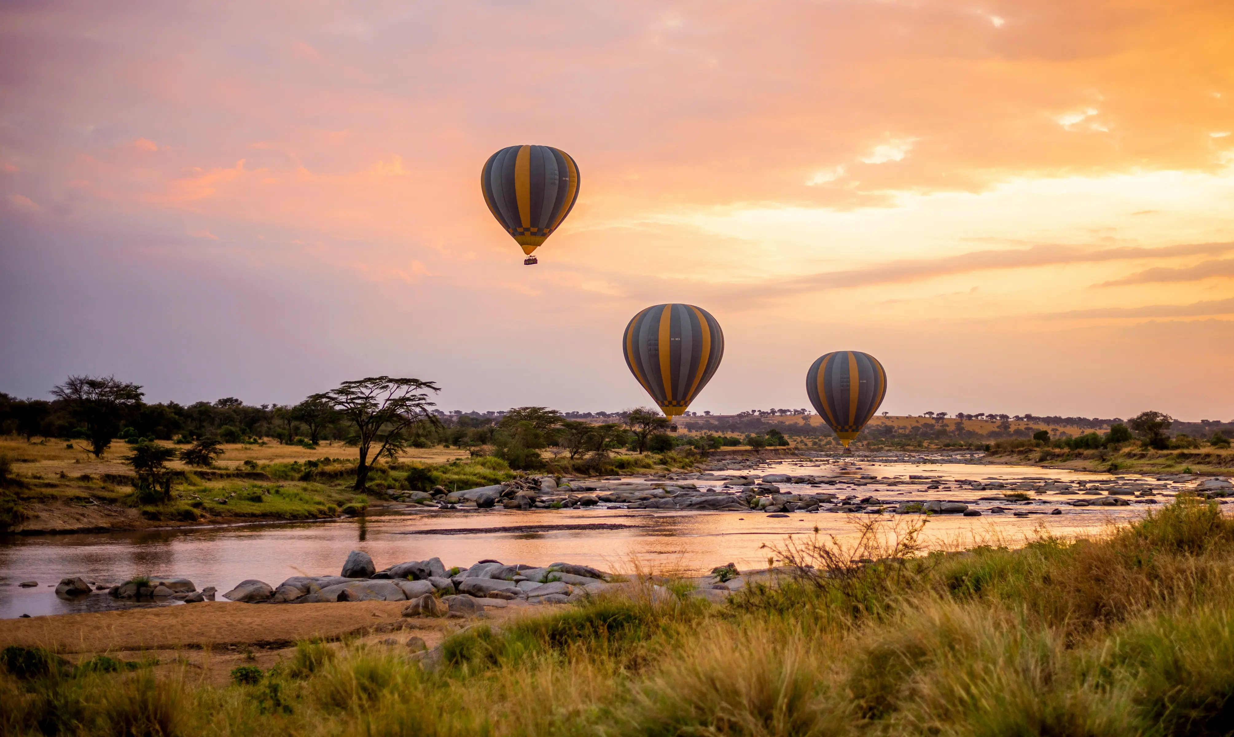 Extraordinary Wildlife Conservation Experiences on Safari