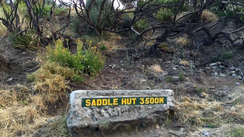 saddle hut